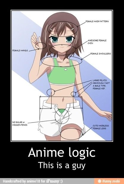 Anime Logic 2 | Anime Amino