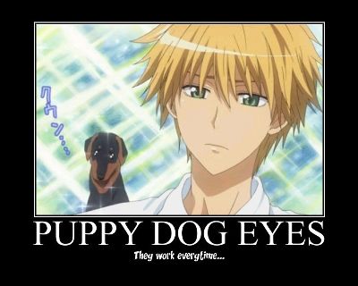 Puppy Dog Eyes  | Anime Amino
