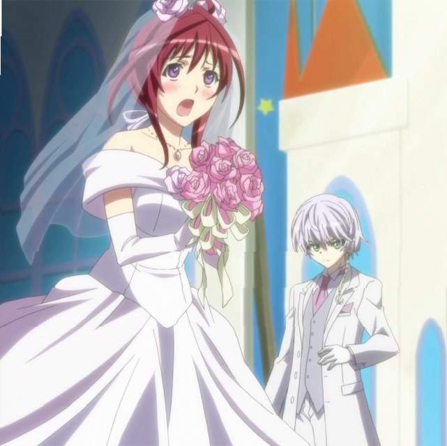 Seikon no Qwaser Anime Amino