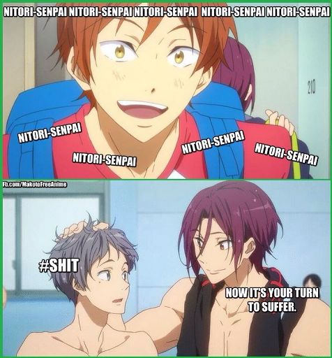 Cute Stuffs In Free! 