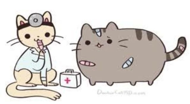 pusheen's little brother