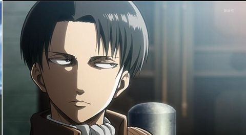 Captin Levi 