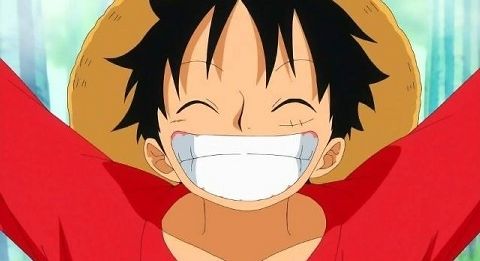 My Luffy - 1 | Wiki | Anime Amino