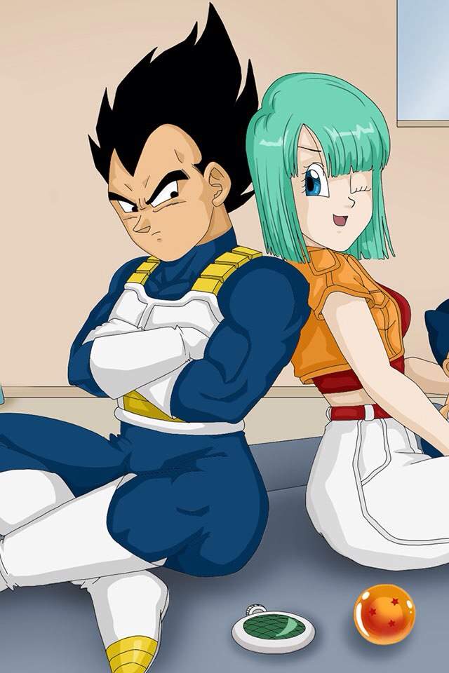 Dbz Couples Vegetaandbulma Anime Amino 