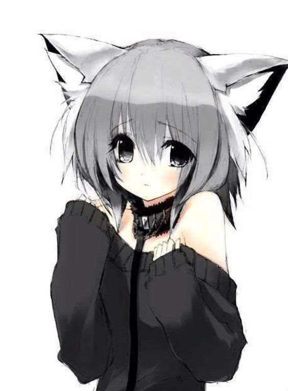 Anime Cat Girls | Anime Amino