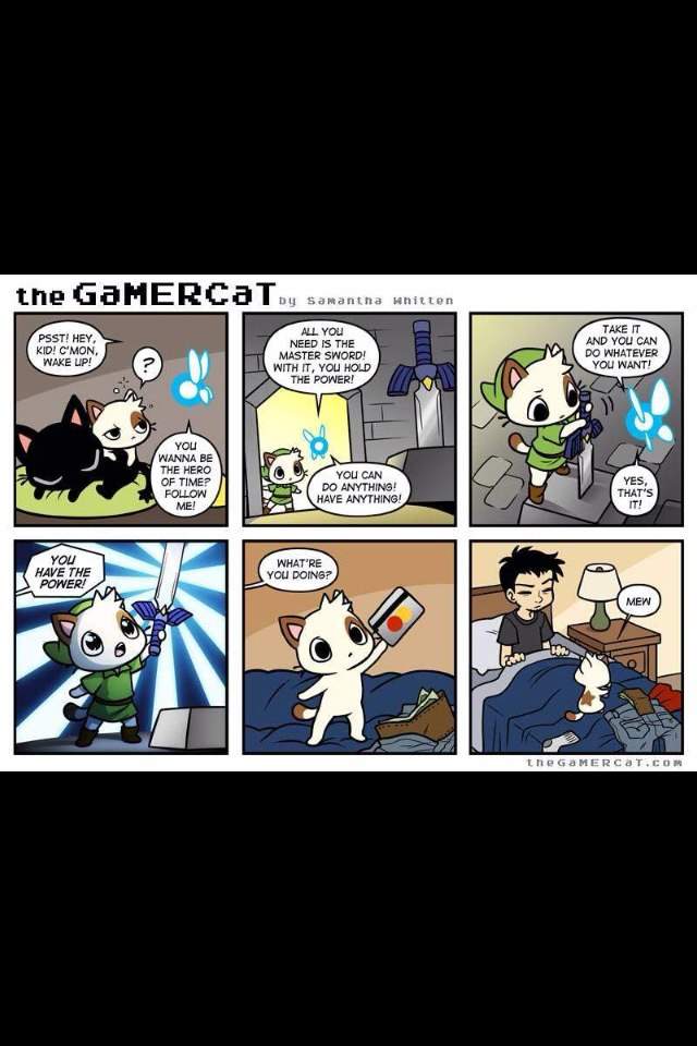 GaMERCaT | Wiki | Video Games Amino