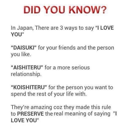 I Love You In Japanese