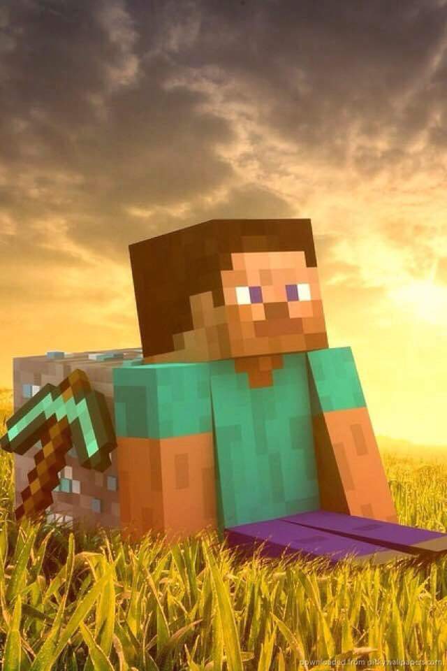 Steve X Herobrine Story  Minecraft Amino