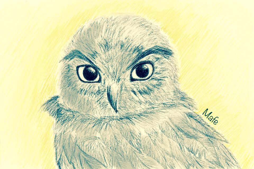 Digital Owl | Art Amino