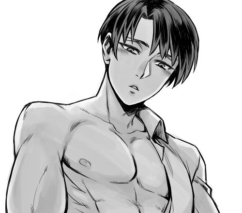 Sexy Levi | Wiki | Anime Amino
