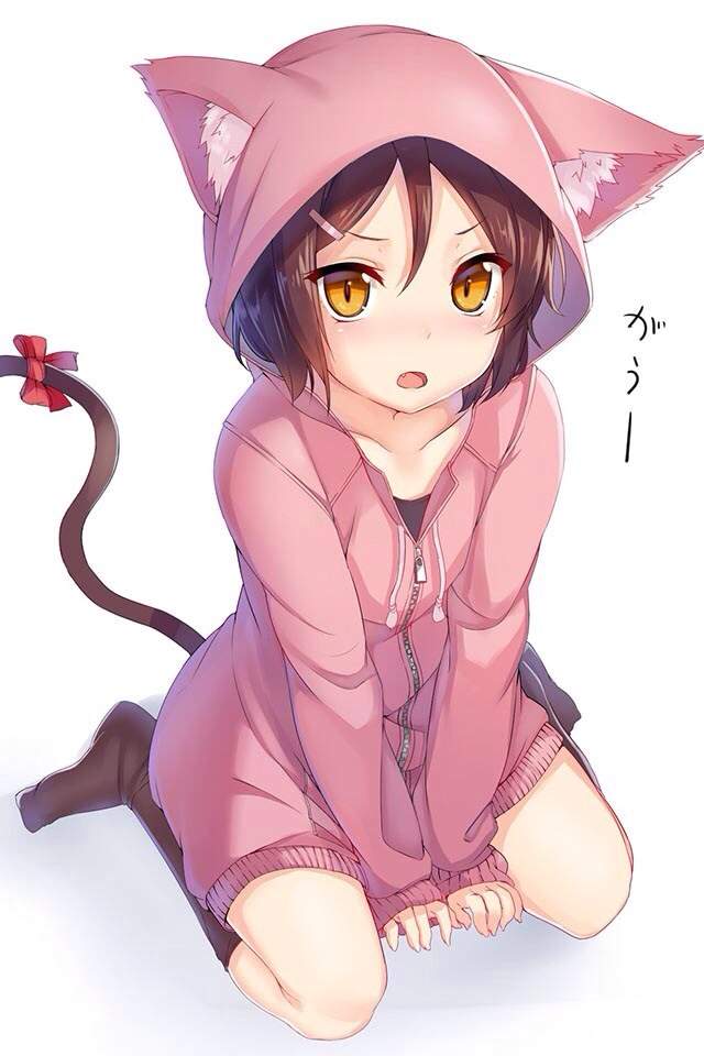 Kitty girl | Anime Amino