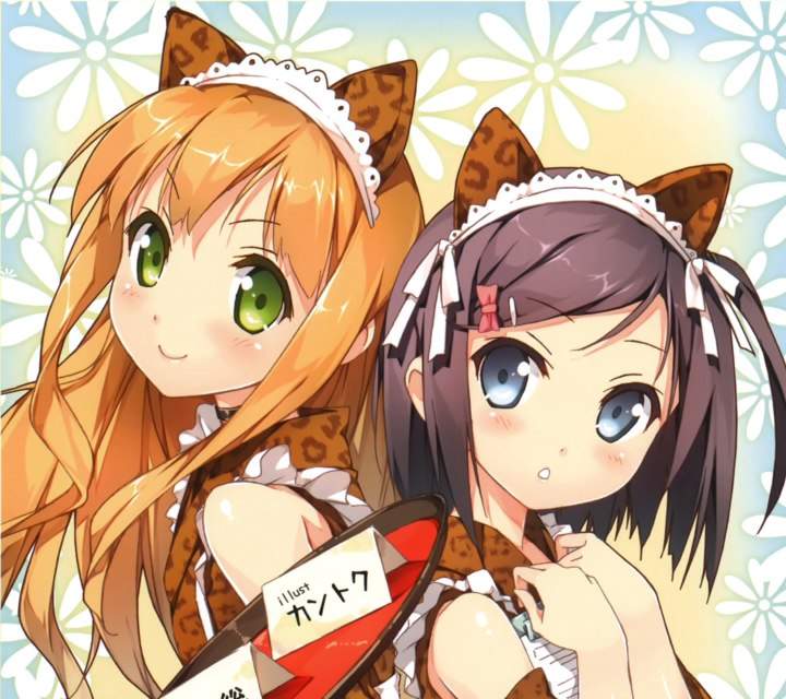 Anime Girls Wiki Anime Amino 6956