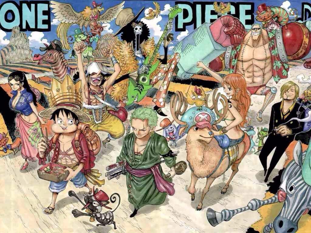 One Piece | Wiki | Anime Amino