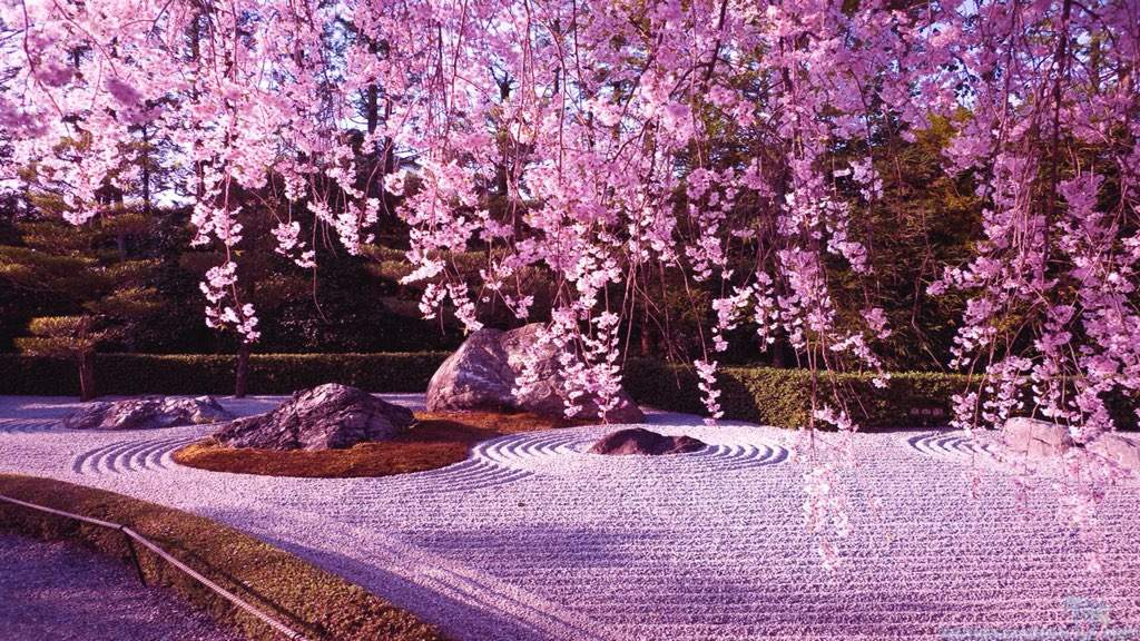sakura lyrics english ikimono gakari sakura lyrics english ikimono gakari