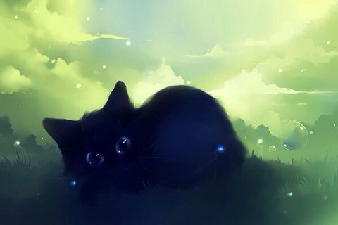 Cat *^* | Wiki | Anime Amino