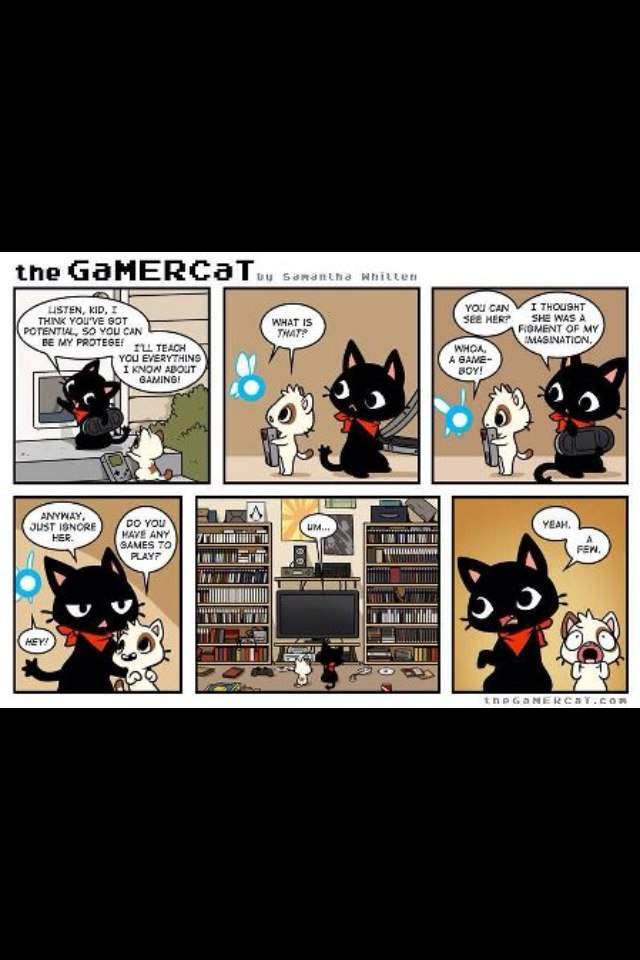 GaMERCaT | Wiki | Video Games Amino