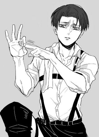 Levi | Wiki | Anime Amino