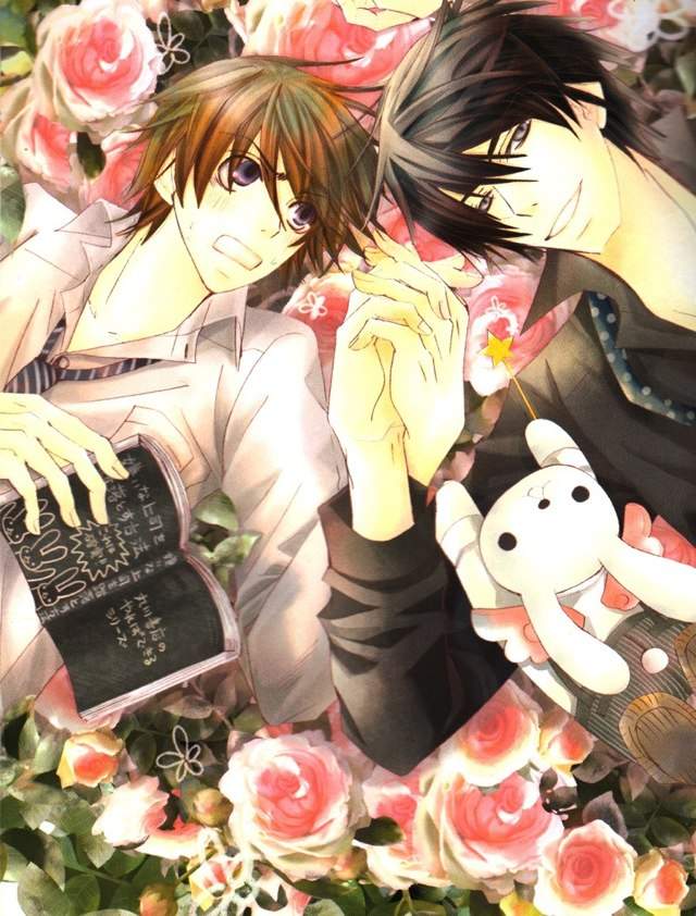 Sekai Ichi Seichi 1 | Wiki | Anime Amino