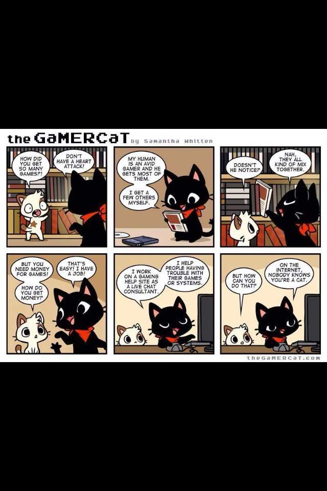 GaMERCaT | Wiki | Video Games Amino