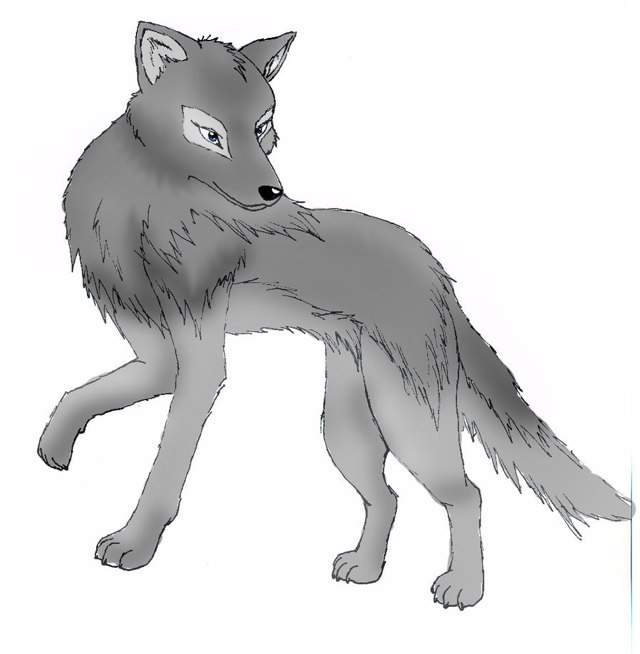 Wolves | Wiki | Anime Amino