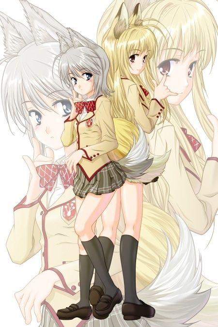 Kanokon | Wiki | Anime Amino