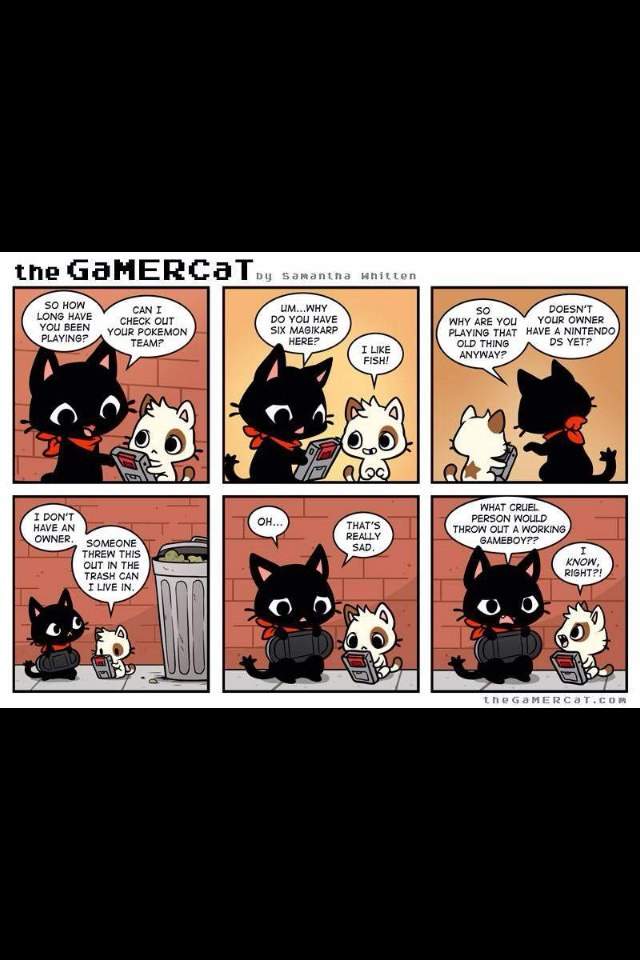 GaMERCaT | Wiki | Video Games Amino