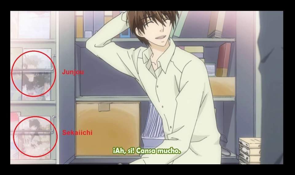 Sekai Ichi Seichi | Wiki | Anime Amino
