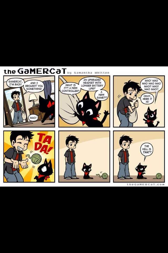 GaMERCaT | Wiki | Video Games Amino