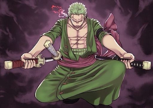 Roronoa Zoro | Wiki | Anime Amino