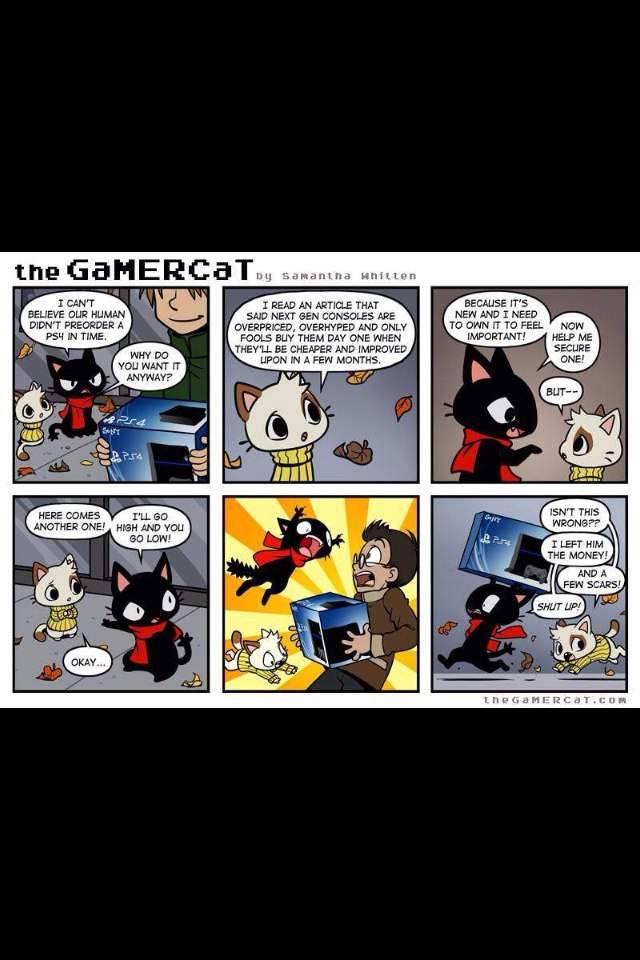 GaMERCaT | Wiki | Video Games Amino