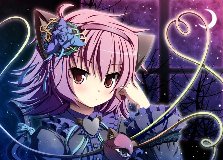 NEKO'S | Wiki | Anime Amino