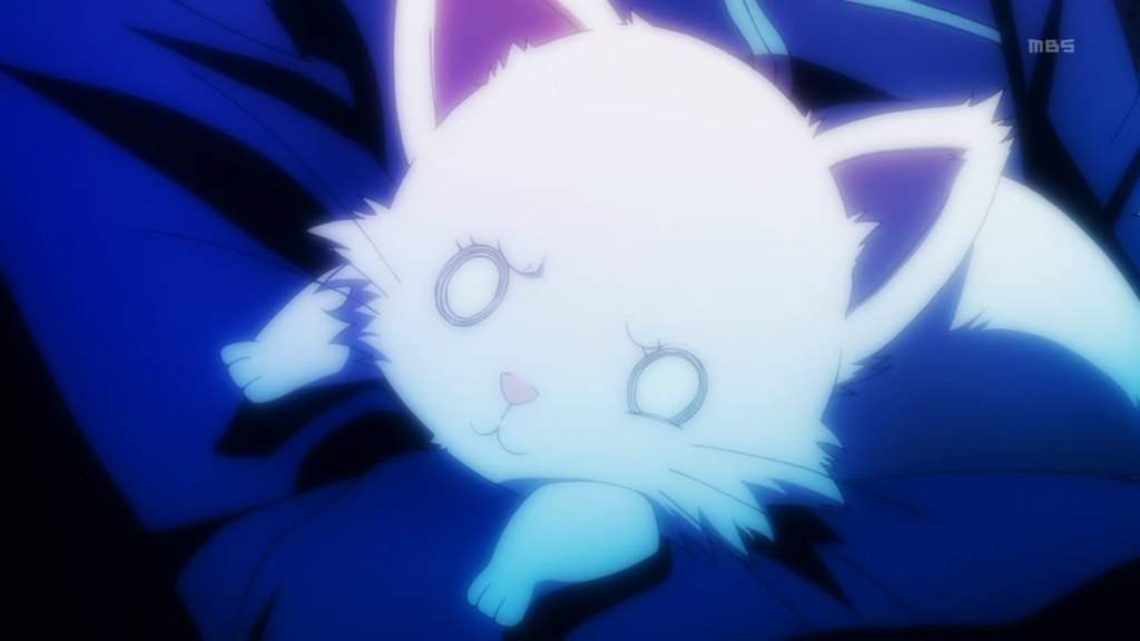 A Neko In K Anime Amino A Neko In K Anime Amino
