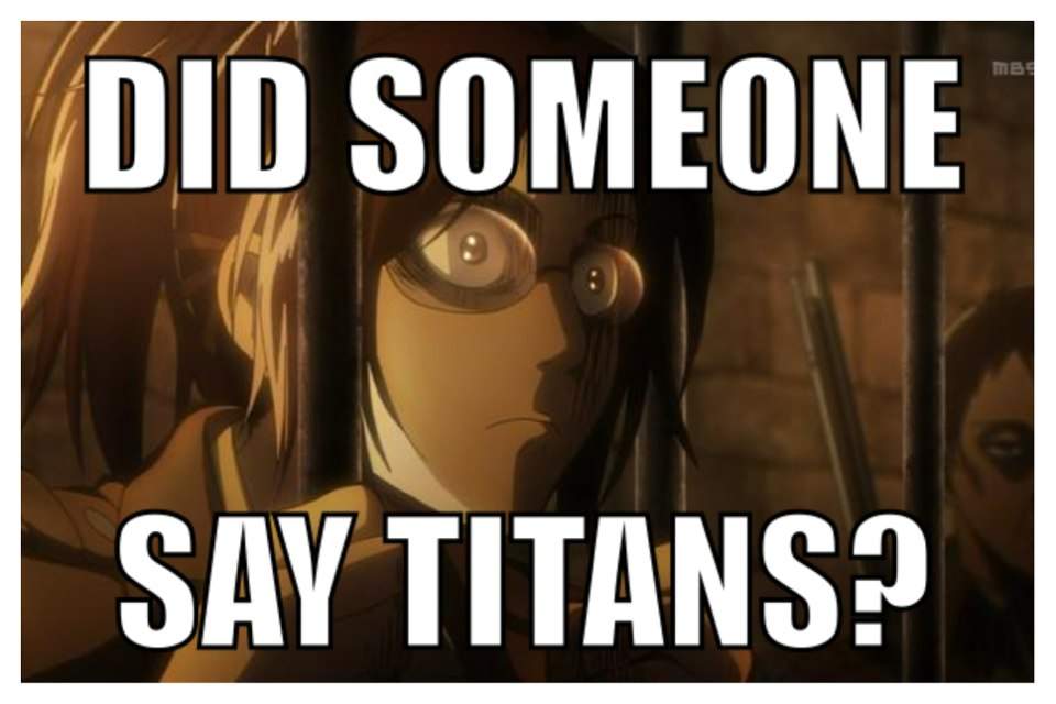 AOT Memes | Wiki | Anime Amino