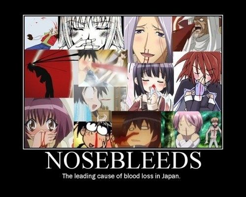 Nosebleed Wiki Anime Amino