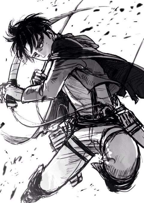 Levi | Wiki | Anime Amino