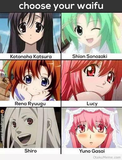 Choose Your Waifu ️ | Anime Amino