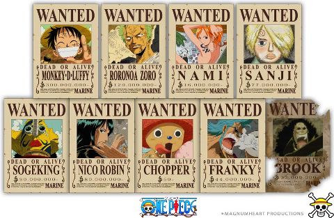 One Piece | Wiki | Anime Amino