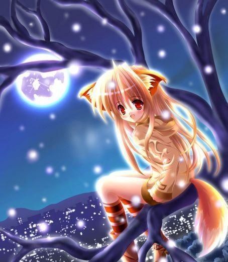 Fox Humans | Wiki | Anime Amino