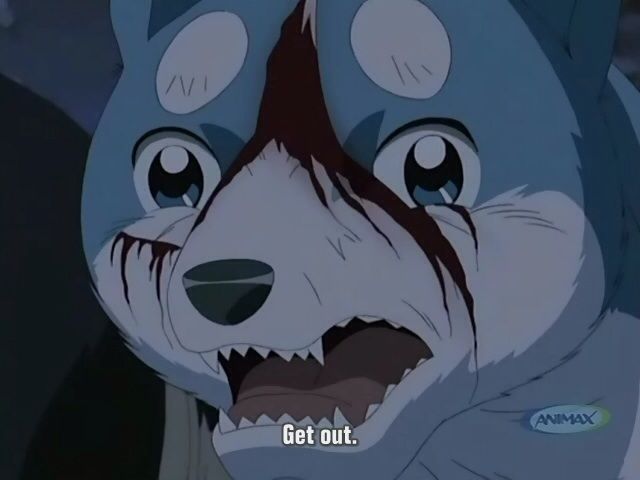 Funny Ginga Wiki Anime Amino Funny Ginga Wiki Anime Amino