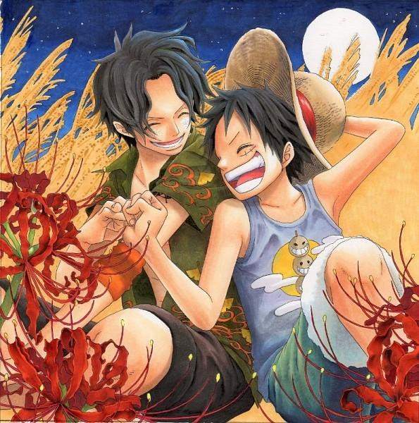 Luffy X Anyone | Wiki | Anime Amino