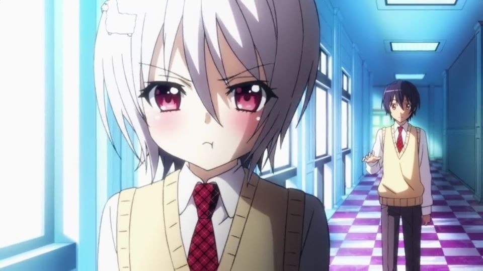 Noucome review.