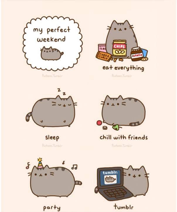 Pusheen's Weekend 