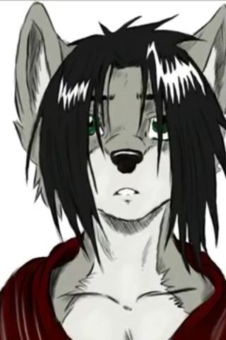 Sad Wolf Part 1 Anime Amino