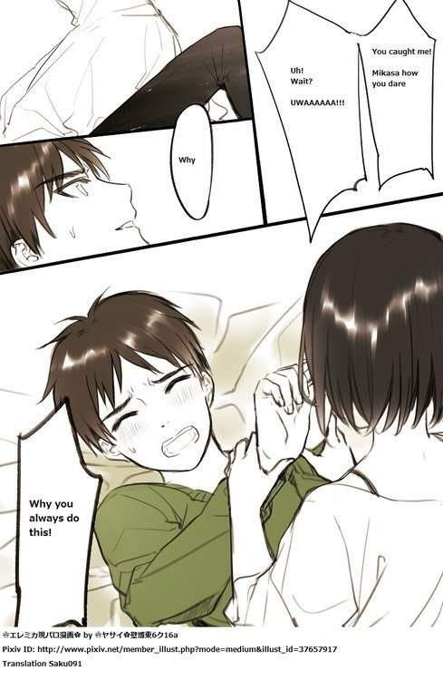 eren x mikasa tumblr