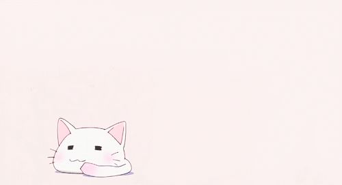 Cat anime | Anime Amino