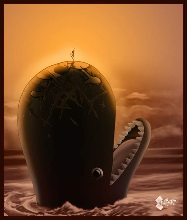 Brook English Voice Actor Anime Amino