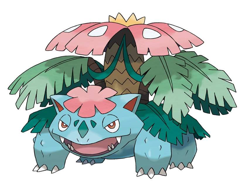 Bulbasaur's Evolution Wiki Anime Amino