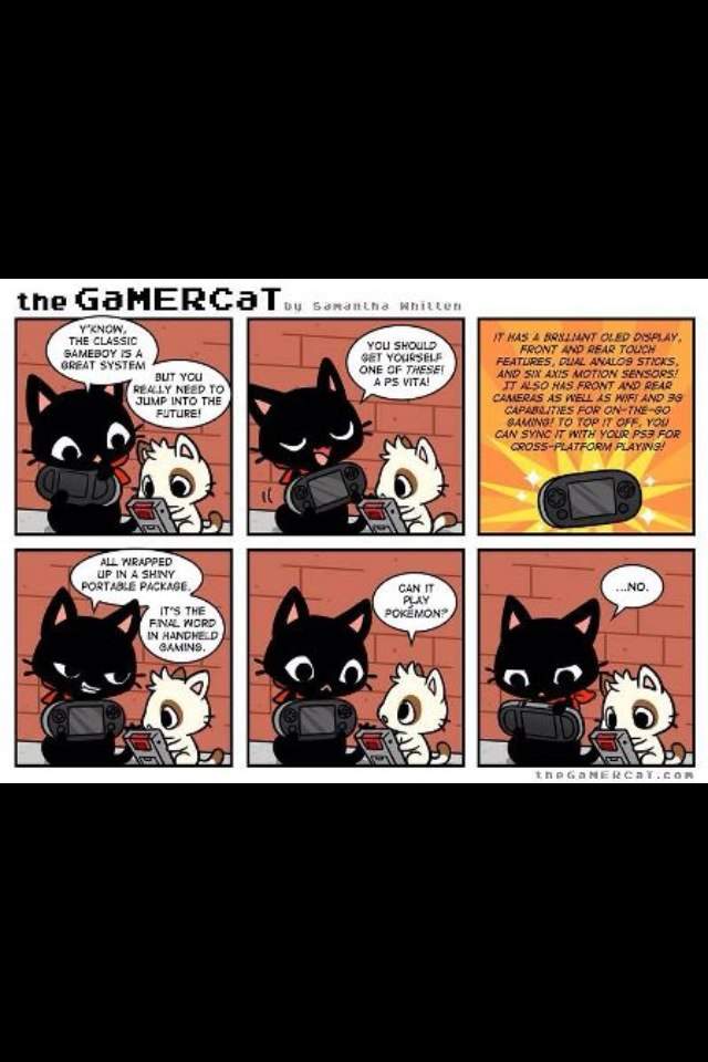 GaMERCaT | Wiki | Video Games Amino